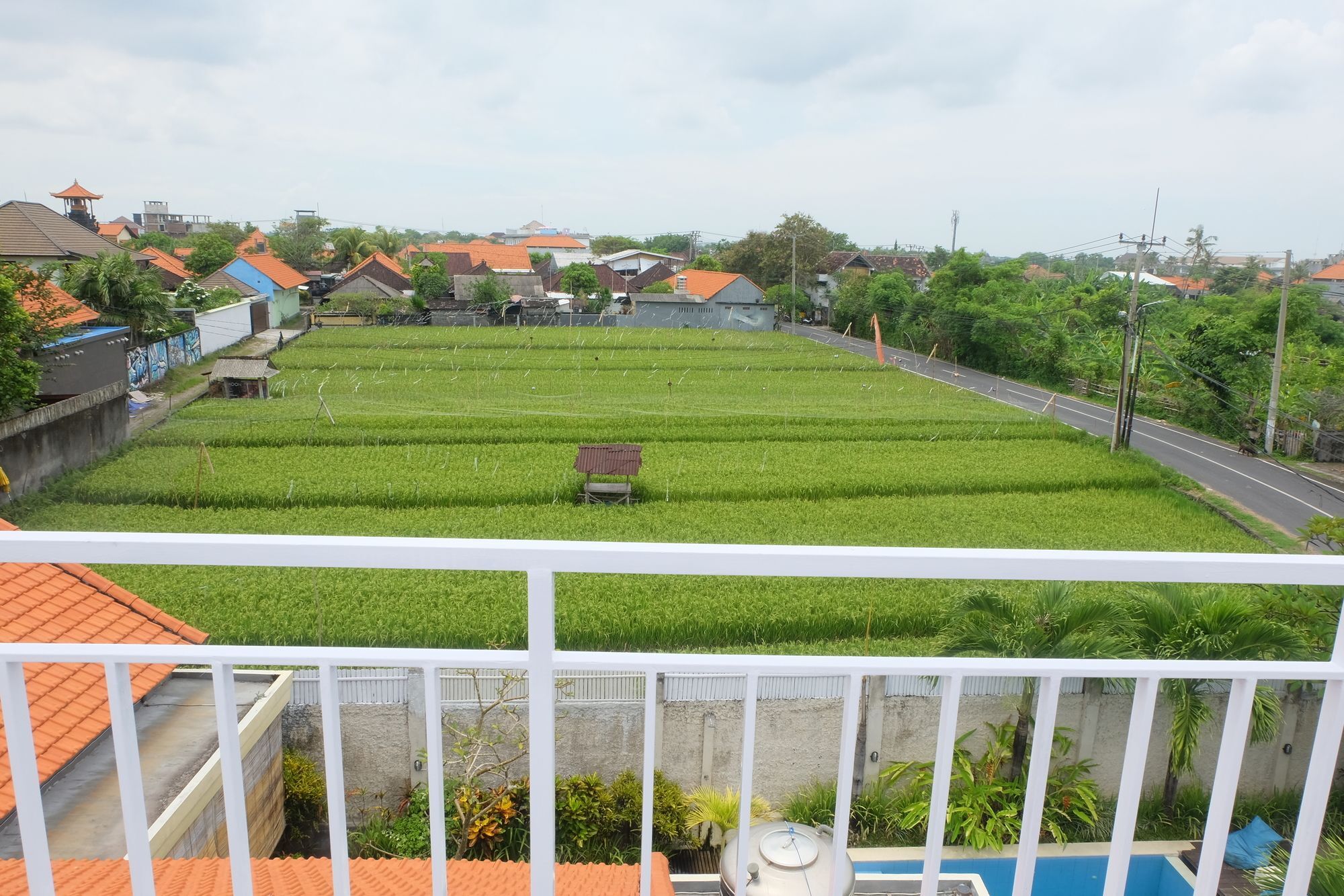 Hotel Surfers Dorm House Canggu Exterior foto